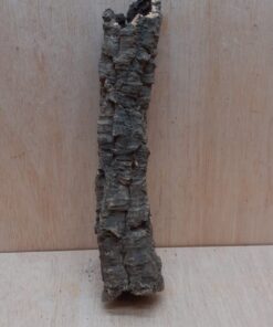 Small Cork Tube - Upto 40cm - 8