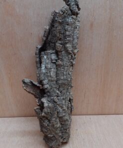 Small Cork Tube - Upto 40cm - 10