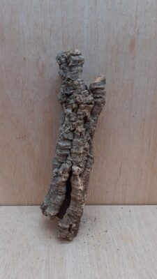 Small Cork Tube - Upto 40cm - 11