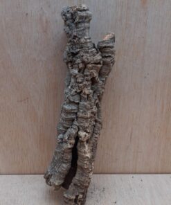 Small Cork Tube - Upto 40cm - 11