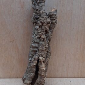 Small Cork Tube - Upto 40cm - 11