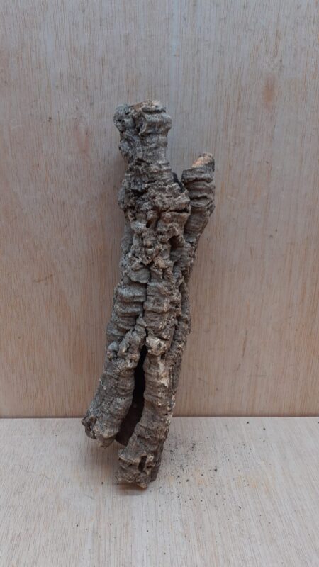 Small Cork Tube - Upto 40cm - 11