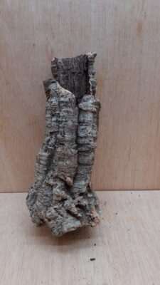 Small Cork Tube - Upto 40cm - 15