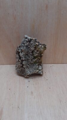 Medium Cork Tube - Upto 40cm - 12
