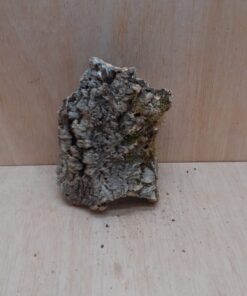 Medium Cork Tube - Upto 40cm - 12