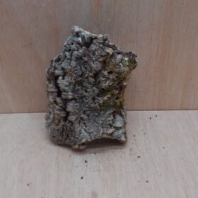 Medium Cork Tube - Upto 40cm - 12