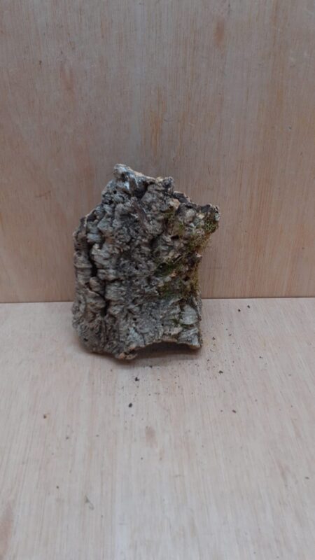 Medium Cork Tube - Upto 40cm - 12