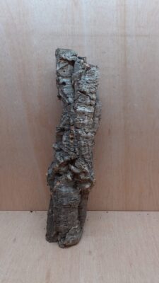 Small Cork Tube - 40-60cm - 1