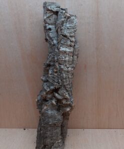 Small Cork Tube - 40-60cm - 1