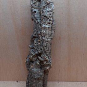 Small Cork Tube - 40-60cm - 1
