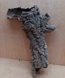 Small Cork Tube - 40-60cm - 4