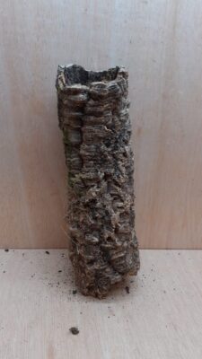 Small Cork Tube - 40-60cm - 6
