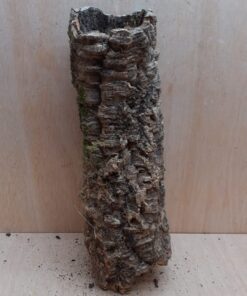 Small Cork Tube - 40-60cm - 6