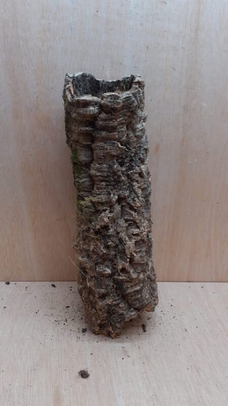 Small Cork Tube - 40-60cm - 6