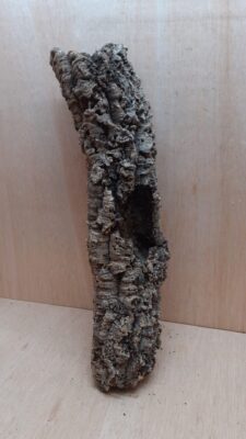 Small Cork Tube - 40-60cm - 9