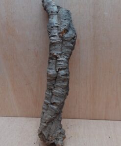 Small Cork Tube - 40-60cm - 14