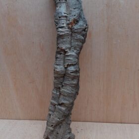 Small Cork Tube - 40-60cm - 14