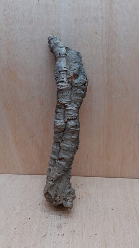 Small Cork Tube - 40-60cm - 14