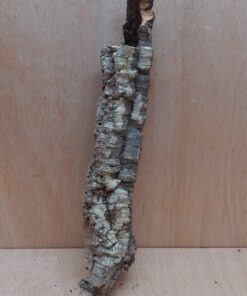 Small Cork Tube - 40-60cm - 15