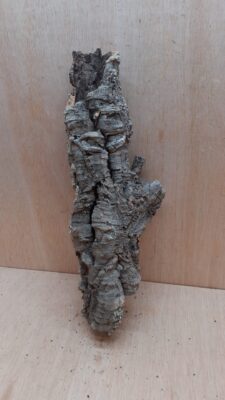 Small Cork Tube - 40-60cm - 16