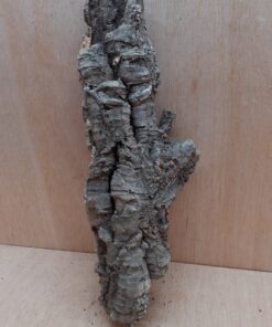 Small Cork Tube - 40-60cm - 16