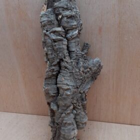Small Cork Tube - 40-60cm - 16