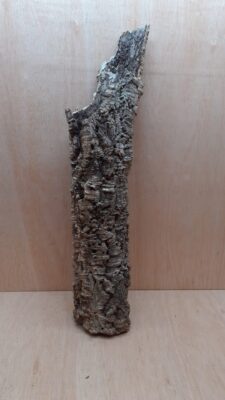Small Cork Tube - 60-80cm - 1