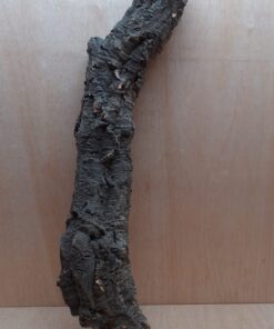 Small Cork Tube - 60-80cm - 2