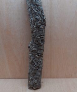 Small Cork Tube - 60-80cm - 7