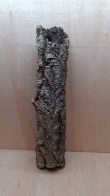 Small Cork Tube - 60-80cm - 10