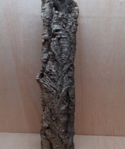 Small Cork Tube - 60-80cm - 10
