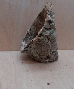 Medium Cork Tube - Upto 40cm - 16