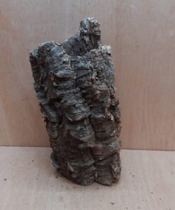 Medium Cork Tube - Upto 40cm - 19