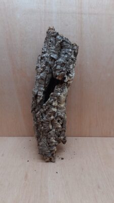 Medium Cork Tube - 40-60cm - 10