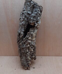 Medium Cork Tube - 40-60cm - 10