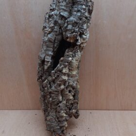 Medium Cork Tube - 40-60cm - 10
