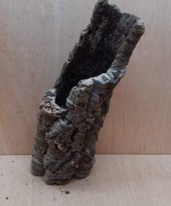 Medium Cork Tube - 40-60cm - 11