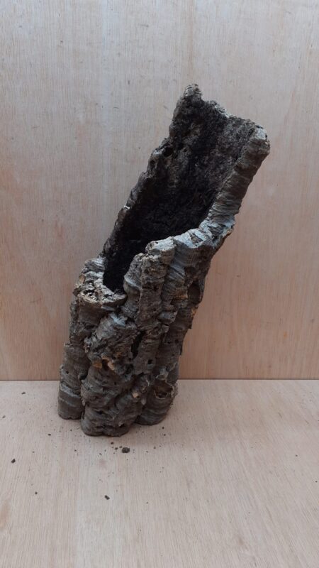 Medium Cork Tube - 40-60cm - 11