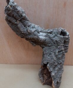 Small Cork Tube - Upto 40cm - 4