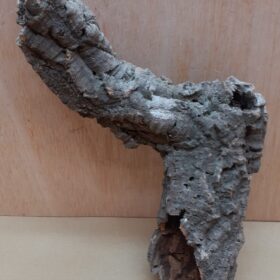 Small Cork Tube - Upto 40cm - 4