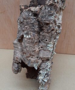 Small Cork Tube - Upto 40cm - 5