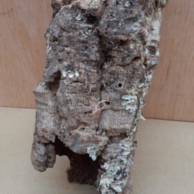 Small Cork Tube - Upto 40cm - 5