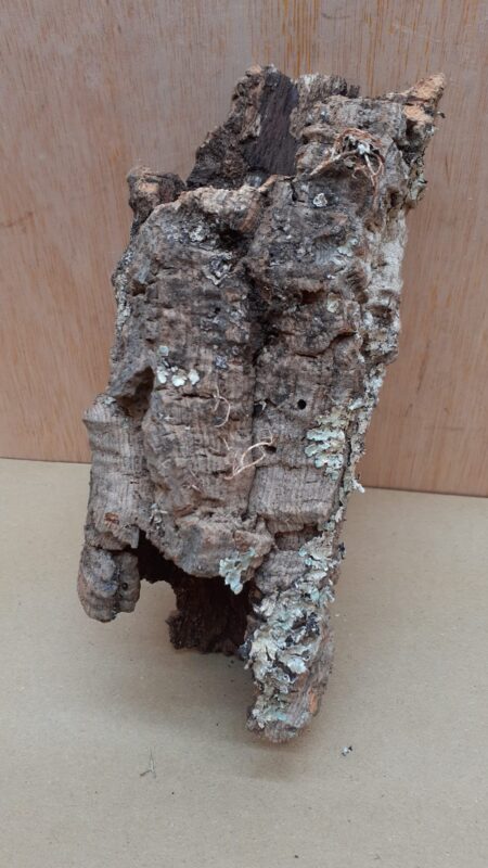Small Cork Tube - Upto 40cm - 5
