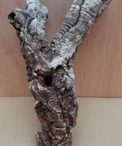 Small Cork Tube - Upto 40cm - 9