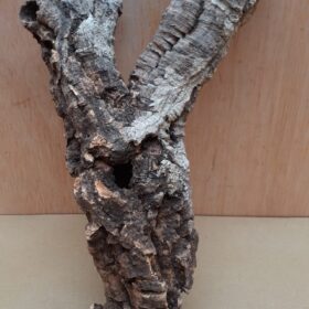 Small Cork Tube - Upto 40cm - 9