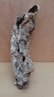 Small Cork Tube - Upto 40cm - 10