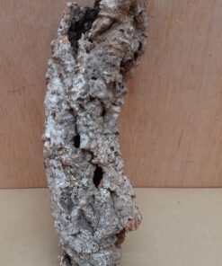 Small Cork Tube - Upto 40cm - 10