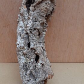 Small Cork Tube - Upto 40cm - 10
