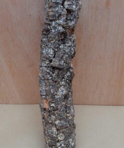 Small Cork Tube - Upto 40cm - 14