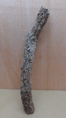 Small Cork Tube - 40-60cm - 8